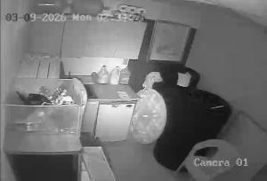 Caméra IP - Puerto Rico