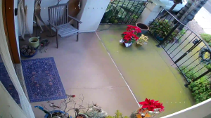 Caméra IP - États-Unis d'Amérique