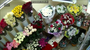 Caméra IP - Russische Föderation