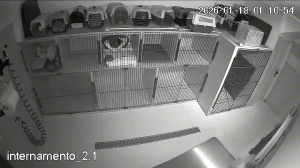 Caméra IP - Portugal