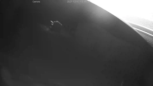 Caméra IP - United States of America