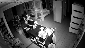 Caméra IP - Russian Federation