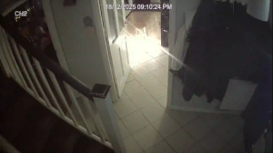 Caméra IP - Royaume-Uni