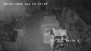 Caméra IP - Denmark