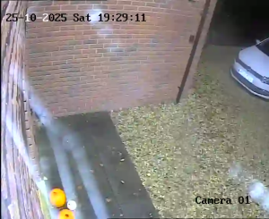 Caméra IP - Royaume-Uni