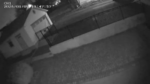 Caméra IP - États-Unis d'Amérique