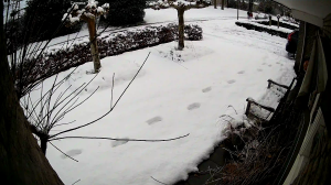 Caméra IP - Pays-Bas