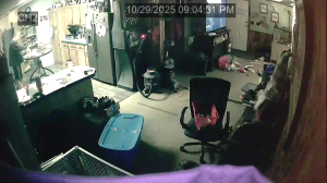 Caméra IP - Stati Uniti d'America