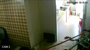 Caméra IP - Singapore