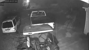 Caméra IP - United States of America