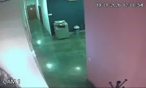 Caméra IP - Portugal