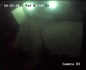 Caméra IP - Albania