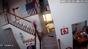 Caméra IP - Estados Unidos