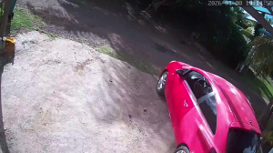 Caméra IP - Guadeloupe