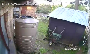 Caméra IP - Sudafrica