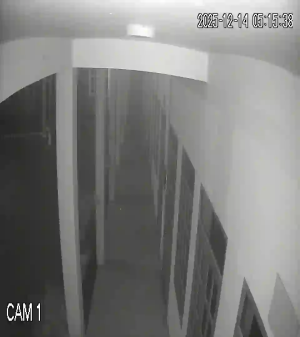 Caméra IP - Vietnam