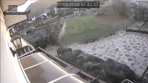 Caméra IP - South Korea