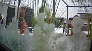 Caméra IP - Germany