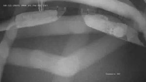 Caméra IP - Irlande