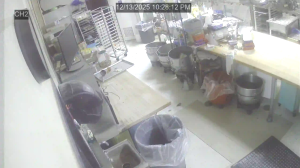 Caméra IP - United States of America