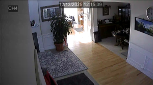 Caméra IP - Estados Unidos