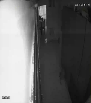 Caméra IP - Türkei