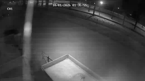 Caméra IP - Paesi Bassi