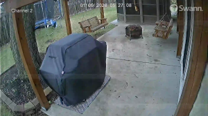 Caméra IP - United States of America