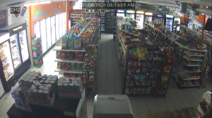 Caméra IP - États-Unis d'Amérique