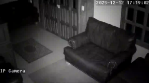 Caméra IP - Mexique