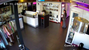 Caméra IP - Netherlands