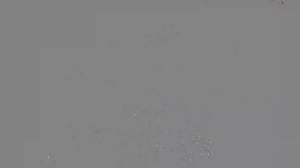 Caméra IP - Vietnam