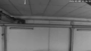 Caméra IP - Portogallo