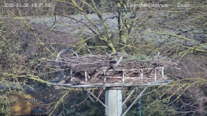 Caméra IP - Allemagne