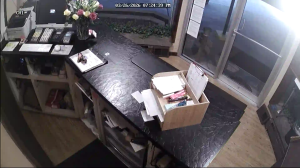 Caméra IP - États-Unis d'Amérique