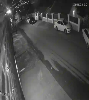 Caméra IP - Südafrika