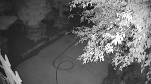 Caméra IP - Vietnam