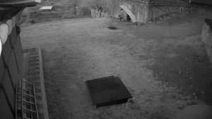 Caméra IP - Südkorea