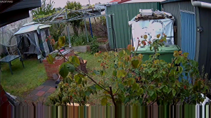 Caméra IP - Australie