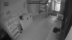 Caméra IP - South Korea