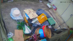 Caméra IP - South Korea