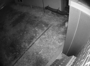 Caméra IP - South Korea