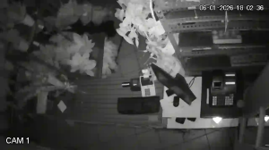 Caméra IP - Spanien