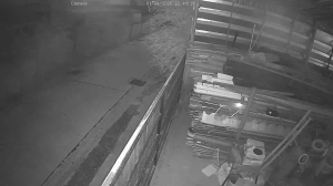 Caméra IP - Thaïlande