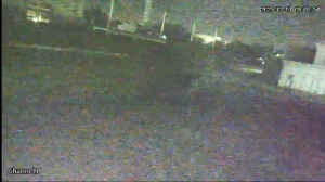 Caméra IP - United Arab Emirates