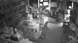 Caméra IP - Bulgaria