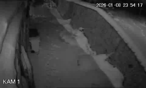 Caméra IP - Eslovaquia