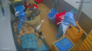 Caméra IP - Malaysia