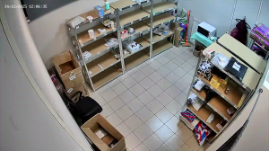 Caméra IP - Russian Federation