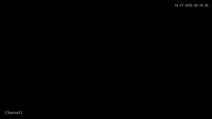 Caméra IP - Israël